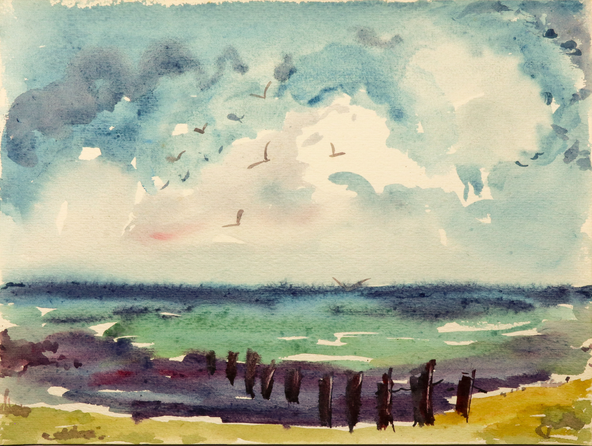 Meer